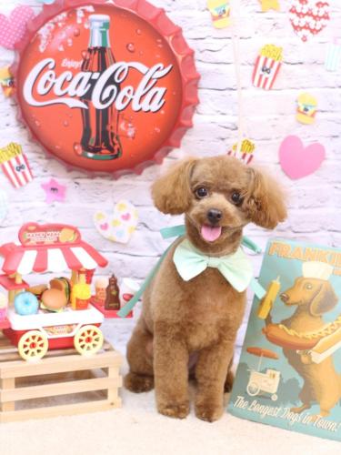 20230913ベルくん